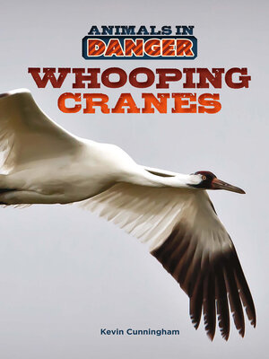 cover image of Whooping Cranes